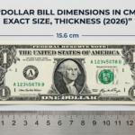 dollar bill dimensions cm