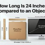 how long is 24 inches compared to an object