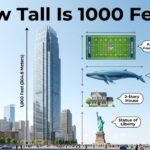how tall is 1000 feet